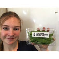 SPRAY FREE SNOW PEAS  100 Gram Punnet 